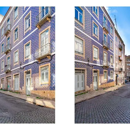 Whome | Golden Premium